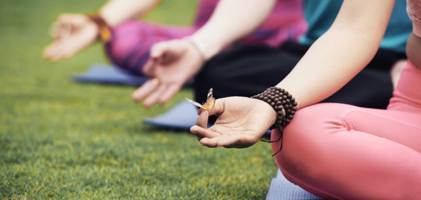 Wieder da: Yoga im Park