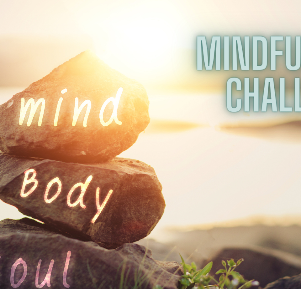 Free Mindfulness Challenge!